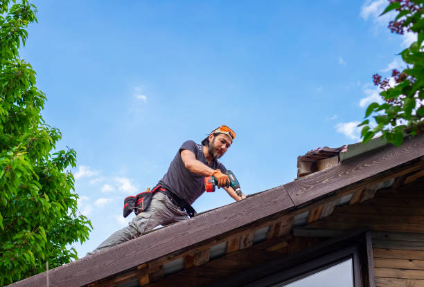 Best Roof Ventilation Installation  in Carbonville, UT